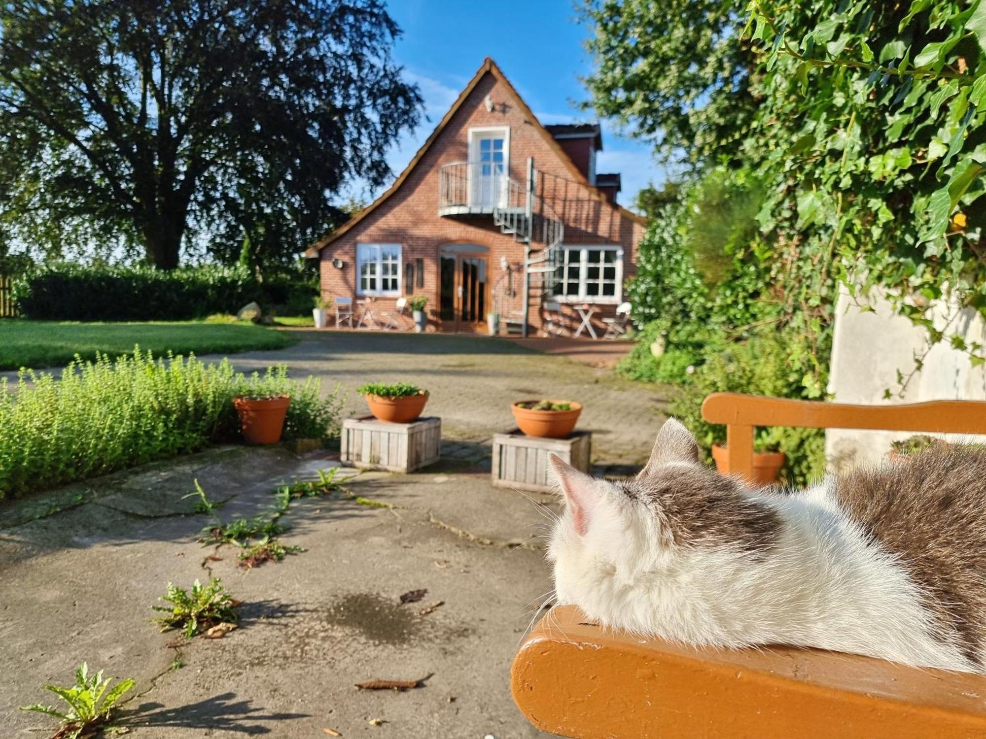 200 Jahre Altes Landhaus Mit Tieren Goldenstedt ภายนอก รูปภาพ